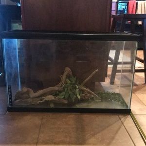 40 Gallon Aquarium Dry or Wet Tank with Mesh top and decor